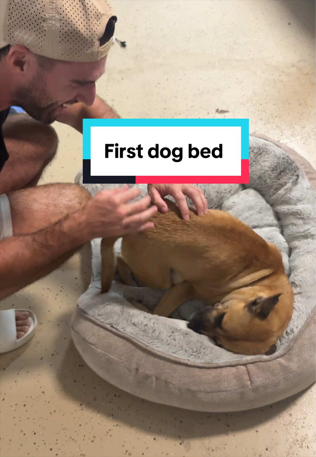 I realized mama Honey as probably never had her own bed 😢 so ofc I had to change that! 
