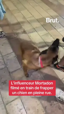L’influenceur Mortadon a été filmé en train de frapper un chien en pleine rue. #mortadon 