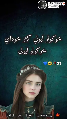 hokowalo Lewani Karo 💯👍 #songs #viral #pashtosong #faryou #viralvideo 