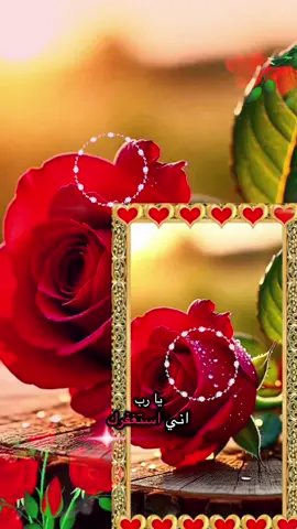 #استغفر الله العظيم وأتوب إليه#💕🌸💕🌸💕🌸 