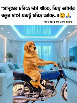 সময় আছে বন্ধু ভালো হয়ে যা 🐸🙏 ** ** #funny #memes #fyp #video