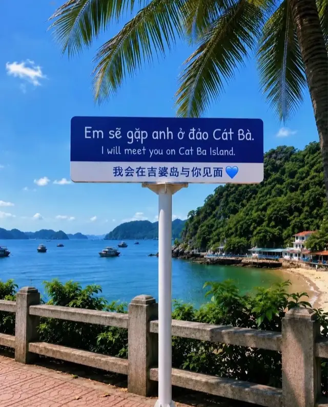 #catba #catbaisland #fyp #xuhuong #catba2026 