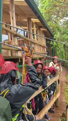 Book your Spot In our upcoming trip to Nyungwe on 8th August and get a Discount of 10% 🥳🌿 For Booking : +250782543549 (WhatsApp text or Phone Call) #fyp #nyungwe #nyungwecanopywalk #nyungwezipline #zipline