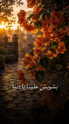 بشويش علينا يا دنيا احنا استوينا يا دنيا #اليسا #لعبة_الايام #مجرد________ذووووووق🎶🎵💞 #تصميم_فيديوهات🎶🎤🎬 #تصميمي❤️ 