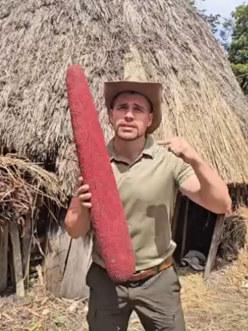 Marita Fruit  #traditional #papua #food #dani #tribe#business #shorts #viralvideo #followers #usa #tiktok #trend #trends #shortvideo #swimming #falls #sisters #followers➕ #trending #fyp
