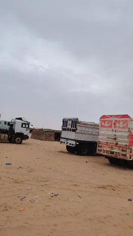#الهينو_شعار_لا_يعرف_قانون_✈ الما عندو هينو الدنيا بتهيونو ❤️‍ تحياتي  من الزنادي✌️ 