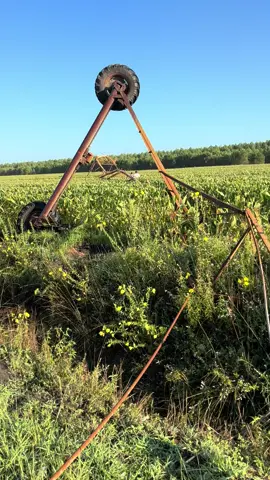 #agriculture #irrigation #foruyou #tractorfail #maïs 