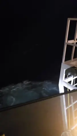 There is something SO  Spooky about the Ocean at Night! pure darkness with the waves crashing and it looks to go on Forever! #Norwegian #ocean #vacation #cruiselife 