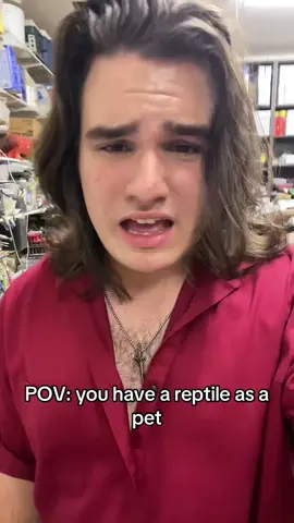 Ummm yeahhhh your animal doesn’t love you… #reptile #snake #animallover #pet #fyp 