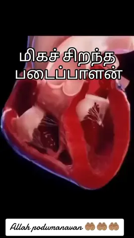 #onthisday #🤲🤲🤲🕋🕋🤲🤲🤲 