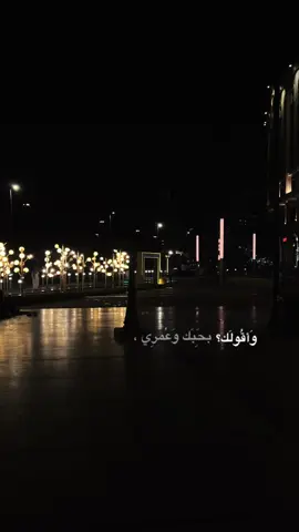 تصويري📸#اكسبلورexplore #اغاني شيرين#انت عيونك دوبوني#2026 