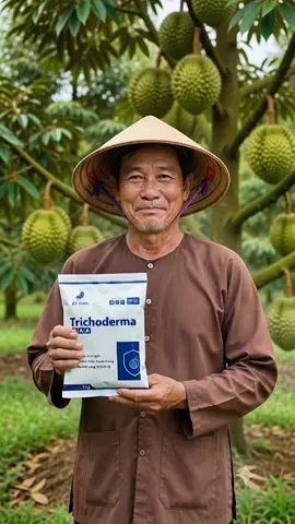 Trichoderma AAA Dế Mèn -Phòng ngừa thối rễ, vàng lá, cải tao đất, Ủ phân 250g, 500g, 1kg #xuhuong #trichoderma #uphanhuuco #caitaodat 
