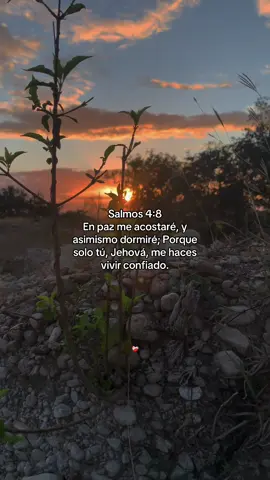 #bendiciones🌹❤️🙌🏻🙌🏻🙏 