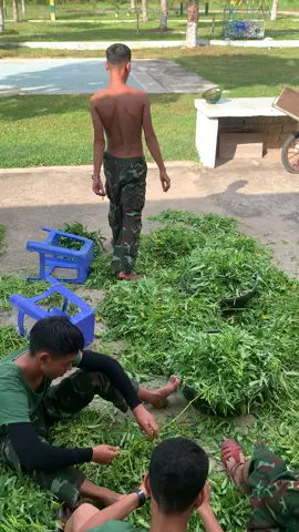 em đừng có hỏi sau này ai nhặt rau nấu cơm nữa #bodoi #hauphuong #xuhuong 