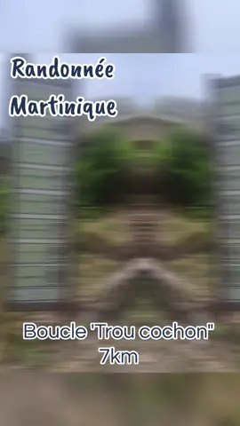 Randonnée Martinique 