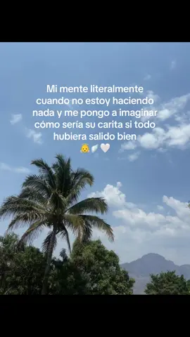 Mi bebé👶🪽😭 #bebeenelcielo👣👼 #paratiii #mamadeunangel👼 