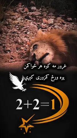 څه احساس د وکړ ؟  2+2=1 💫 #پشتون_تاجیک_هزاره_ازبک_زنده_باد🇦🇫 #fyp #foryoupage @👉 Mk Folad 👈 @Wali Gawhar @𝟐+𝟐=𝟏 💫 @Aezat🇦🇫 🫶2+2=1🫶🇦🇫 