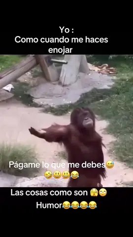 #Yo cuando presto dinero y me hacen enojar 😁😜🤪luego luego quiero que me paguen 😂😂😂