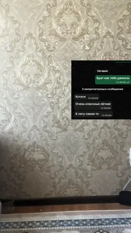 📍 Широкие джинсы — 950 сом  📍 Футболки — 890 сом 🔥 Тренд 2026 — стиль + комфорт 👕 Футболка + джинсы = носки в подарок 🎁 👌 Удобные и качественные — на каждый день 📍 Бишкек | Кыргызстан 📦 Всё в наличии 🚚 Доставка по всему СНГ 🤝 Самовывоз / доставка 📲 Закажи прямо сейчас: ✍️ WhatsApp: 0704 798 079 📩 Telegram: Drop Street 📸 Instagram: Drop Street #джинсы #футболки #streetwear #бишкек #мода 