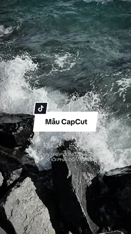 Xin phép công khai để khỏi phải đồn đoán 🗿#capcut #capcutpioneer #pioneertemplate 