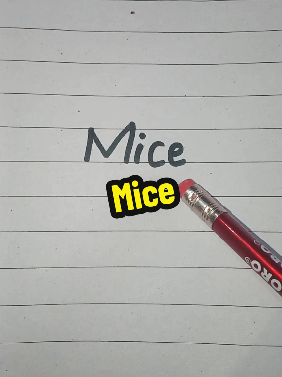 Mice  Student to mujhse bhi zyada talented hen 😄 Online classes k liye hath oper kren #viral #foryoupageofficiall #foryou #fyp #online @CapCut @TikTok 