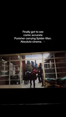 SPOILER! #Spiderman #BrandNewDay #Punisher #PeterParker #Frank 