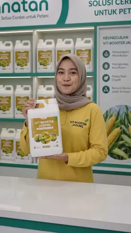 vit booster jagung mmbantu pertumbuhan jagung meningkatkan kualitas jagung dan terhindar dari ham penyakit #pupukjagung #petanijagung #pupukorganikcair 