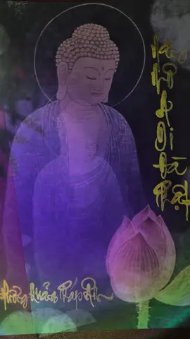 🪷Niệm hồng danh “NAM MÔ A DI ĐÀ PHẬT” mang hai ý nghĩa lớn: 🌱 Vô Lượng Thọ: Sức sống và sự an lạc vô biên, vượt qua mọi giới hạn thời gian. 🌱 Vô Lượng Quang: Ánh sáng trí tuệ vô tận, xua tan mọi u mê, bế tắc. —-___Mỗi khi niệm danh hiệu Ngài, tâm hành giả không chỉ hướng về Đức Phật ở cõi phương Tây mà đang thắp sáng ngọn đèn trí tuệ và sự bình an vốn có ngay bên trong chính mình. 🌱Trì niệm danh hiệu Đức Phật giúp nhiếp tâm, tiêu trừ phiền não, nuôi dưỡng căn lành và hướng về chánh giác. Người ta thường cho rằng, cõi Tây Phương Cực Lạc cách xa mười vạn ức cõi Phật, nhưng khi hành giả lắng lòng nghe một câu niệm Phật, buông xuống những oán giận, hơn thua, tham oán của ngày hôm nay - ngay chính khoảnh khắc đó tâm ta đã đặt chân đến cõi  Thanh Lương Cực Lạc rồi. #niemphat #nghilephatgiao #huongquangphapam #nammoadidaphat  Đừng đợi đến mai sau, hãy cho phép tâm mình được nghỉ ngơi và an lạc ngay trong phút giây này.