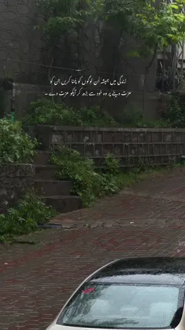زندگی میں ہمیشہ اُن لوگوں کو چُنا کریں جن کو عزت دینے پر وہ خود سے بڑھ کر آپکو عزت دے ۔ #fyp #viral #trending #nature #UrduQuotes 