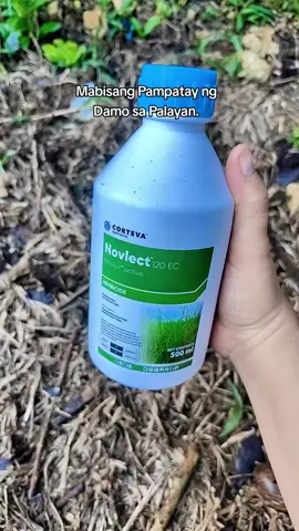 Mabisang Pampatay ng Damo sa Palayan #Novlect#Herbicide#Pampatayngdamo