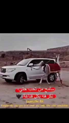 اعادة_النشر🔃بنى_وليد_العزه_والكرامة_والمجد 