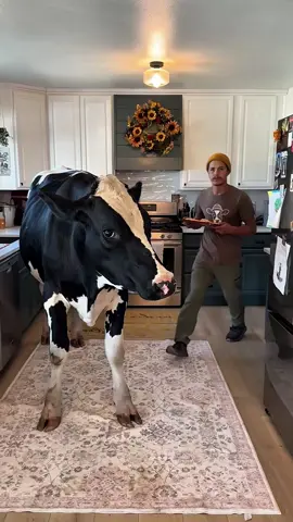 #brucethecow #snack #farm #cow #tiktokgrowthchallenge 