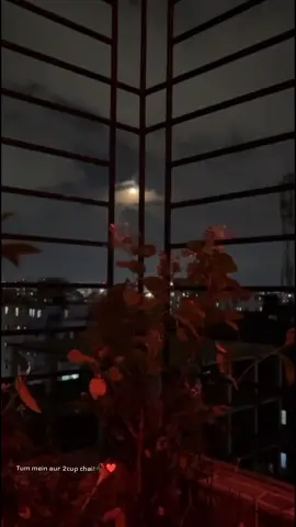 My type of date!☕☕🥀❤️ #nightvibes #moon #romantic #foryou  #tea 
