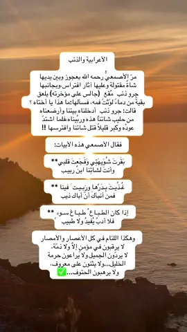 #أبلغكم #السعودية🇸🇦 #المدينة_المنورة #tiktokviral 