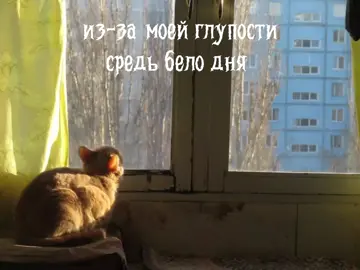 #свидетельствоосмерти #ночныерекомендации #ночныерекомендации #ночнойактив #music 