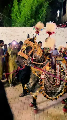 14 safar kotri juloos #viral #foryou #foryoupage #unfrezzmyaccount 