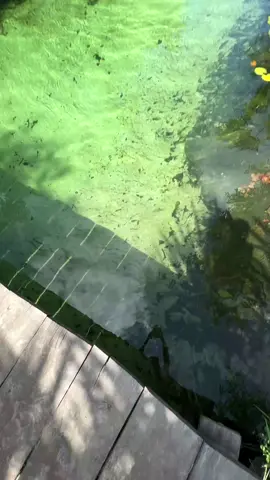 📍O Balneário Recanto Navião é um refúgio natural paradisíaco localizado no Povoado Taboca do Nestor, no interior do município de Paulino Neves, Maranhão.🇧🇷