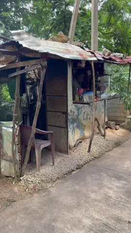 Five star වගේද ගමේ මාමගෙ උනු උනු රොට්යයි ,වඩේ එකයි, ඉගුරු ප්ලෙන්ටියයි❤️❤️