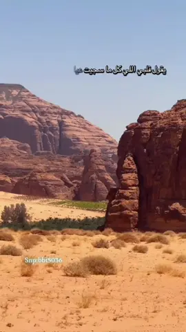 #في هذا اليوم 