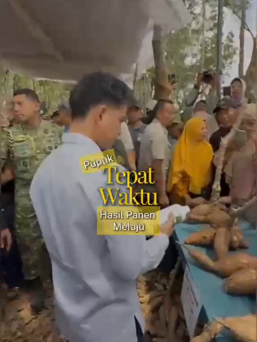 Mas Gib hadir bukan hanya menyapa, tetapi juga membawa bantuan pupuk gratis untuk masyarakat. Semoga membawa kebermanfaatan. 🤝 #wapres #gibranrakabuming #menyalagibranku #aksigibran #pupuk