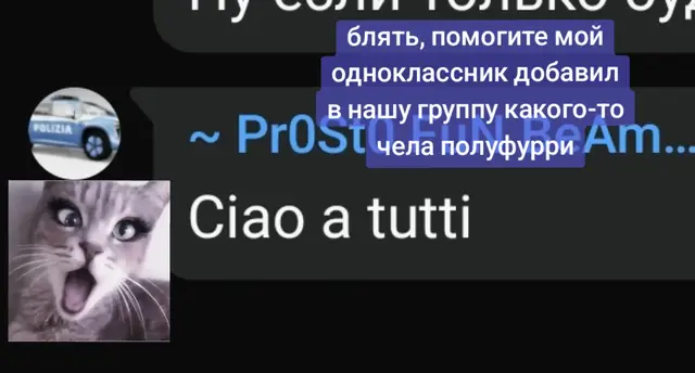 мне кажется у них любовь#fyp 