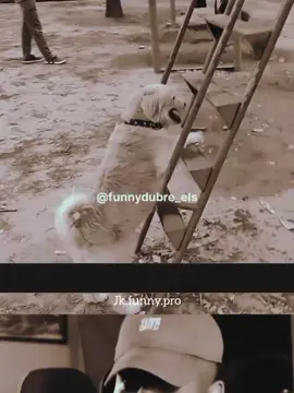#funny #video #tr 😂🤣