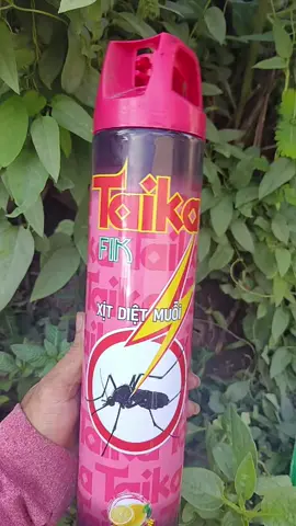 Bình xịt diệt muỗi kiến gián côn trùng #binhxitmuoi #binhxitmuoitaika #1chai600ml #xuhuongtiktok 