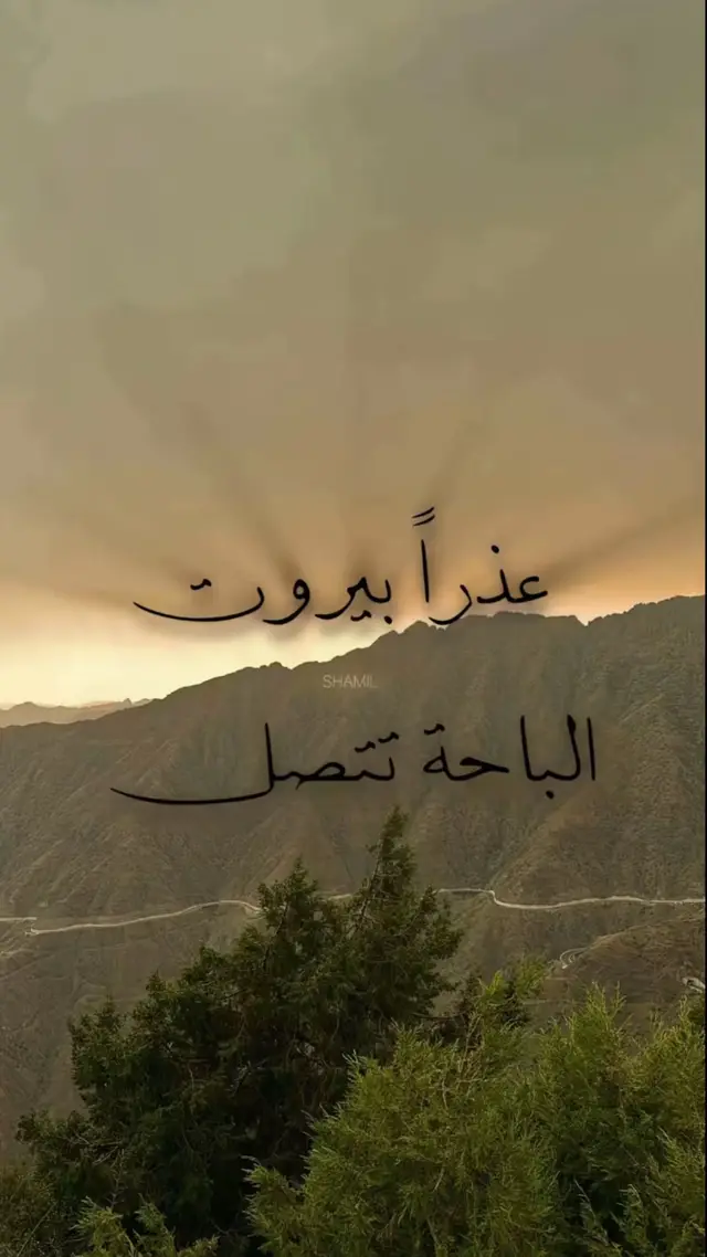 الباحه #غابة_رغدان_الجنوب_الباحه #fyp