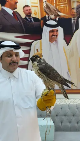 # شاهين وحش طرح السعوديه 