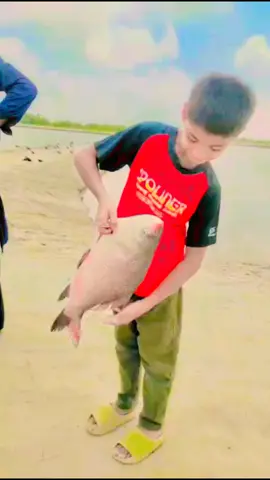 #fish