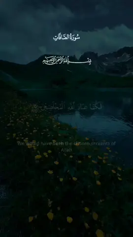The Story of Prophet Yusuf (Part 4) 🐫🪙 Yaqoob felt something was staged, but with no proof, he surrendered his affair to Allah, resolving to have beautiful patience. Meanwhile at the bottom of the well, a passing trade caravan lowered their bucket for water. Finding young Yusuf, they rejoiced at their find and took him to Egypt, where they sold him for a cheap price—a few silver coins! He was bought by Al-Aziz, a high minister of Egypt, who brought him to his grand palace. قصة النبي يوسف (الجزء 4) 🐫🪙 شعر يعقوب أن ثمة أمراً قد دُبّر، فسلّم أمره إلى الله طالباً الصبر الجميل. وفي أسفل البئر، مرت قافلة تجار ونزلت للتزود بالماء، ولما ألقوا حبلهم علق به يوسف، ففرحوا بالغلام وأخذوه إلى مصر وباعوه بثمن زهيد دراهم معدودة! فاشتراه عزیز مصر وأدخله بيته الرفيع. Follow for Part 5! 🔔✨ تابع للحصول على الجزء 5! 🔔✨ Leave a good deed before you go ✨ Send blessings upon the Prophet ﷺ 🌿 #ProphetStories #Quran #قران #قصص_انبياء #CapCut 