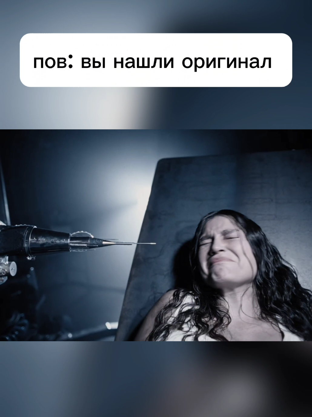 пов: вы нашли оригинал @ПАНЦУШОТ  #bearwolf #феникс #панцушот #fyp #viral 