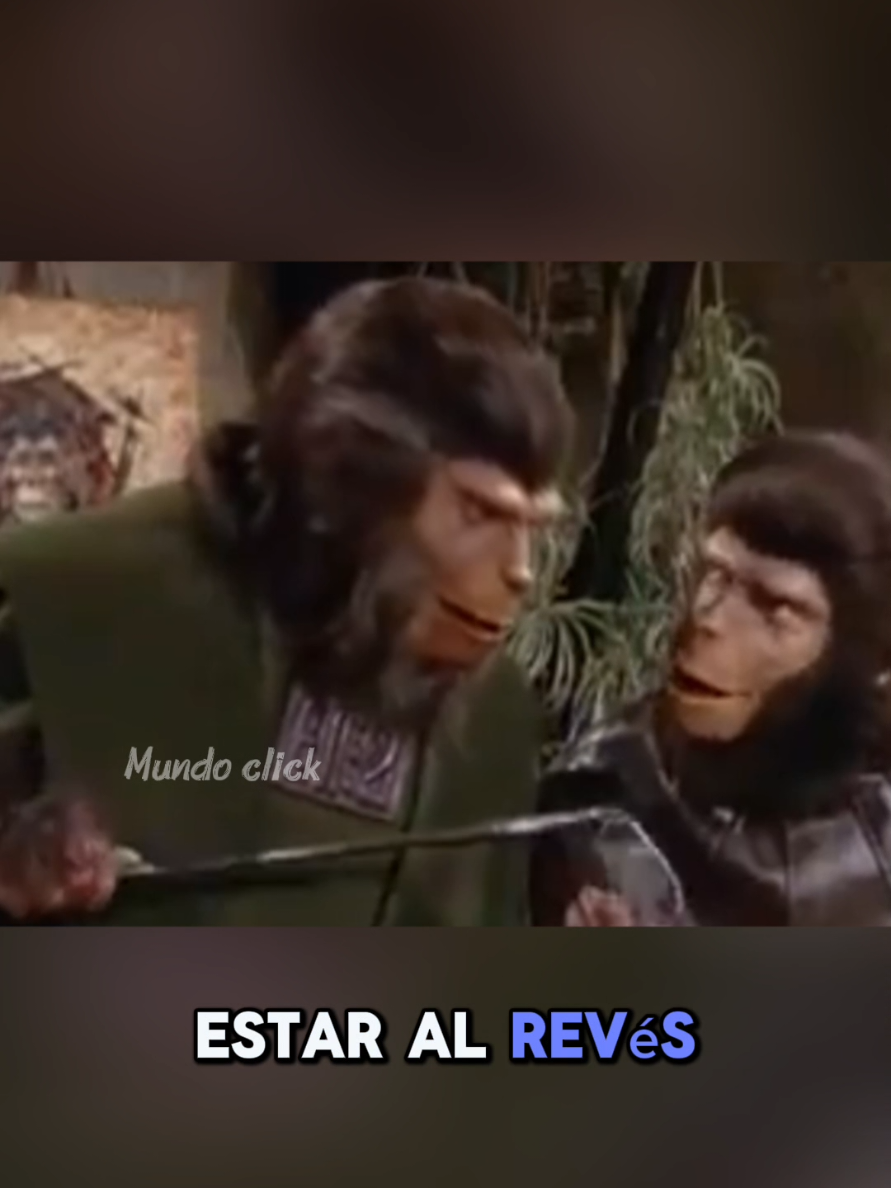 🐵🌎 ¿Recuerdas El planeta de los simios? En 1974, esta serie llevó la ciencia ficción a otro nivel con una increíble historia donde los simios dominaban el mundo y los humanos luchaban por sobrevivir. Una aventura que muchos aún recuerdan con nostalgia. ¿La viste en su época? Déjamelo en los comentarios. 👇📺 #ClassicTV #SciFiTV #PlanetOfTheApes #RetroTV #TVMemories