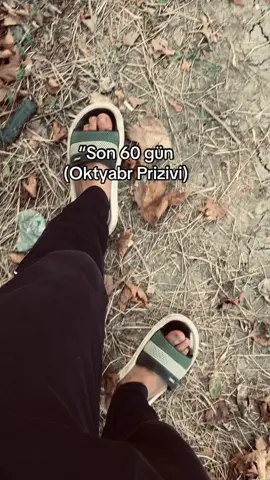 Ses elyin